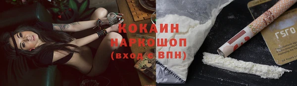 трава Гусев