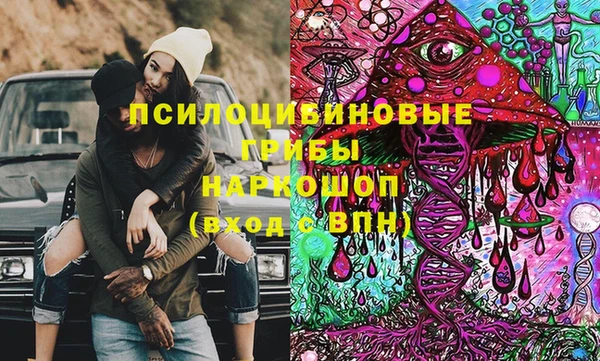 стаф Сосновоборск