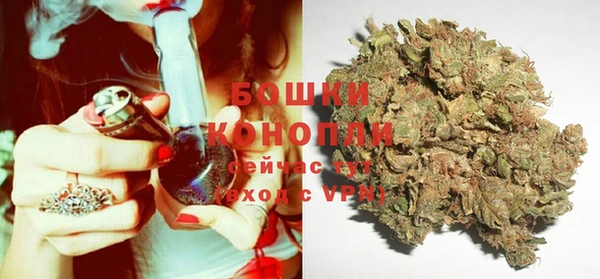ГАЛЛЮЦИНОГЕННЫЕ ГРИБЫ Навашино