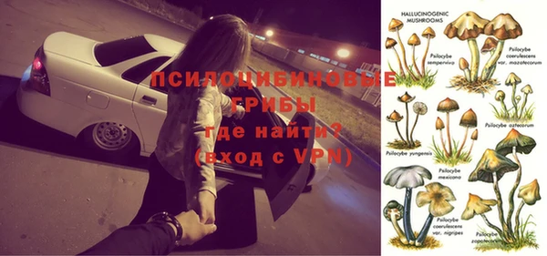 тгк Наволоки
